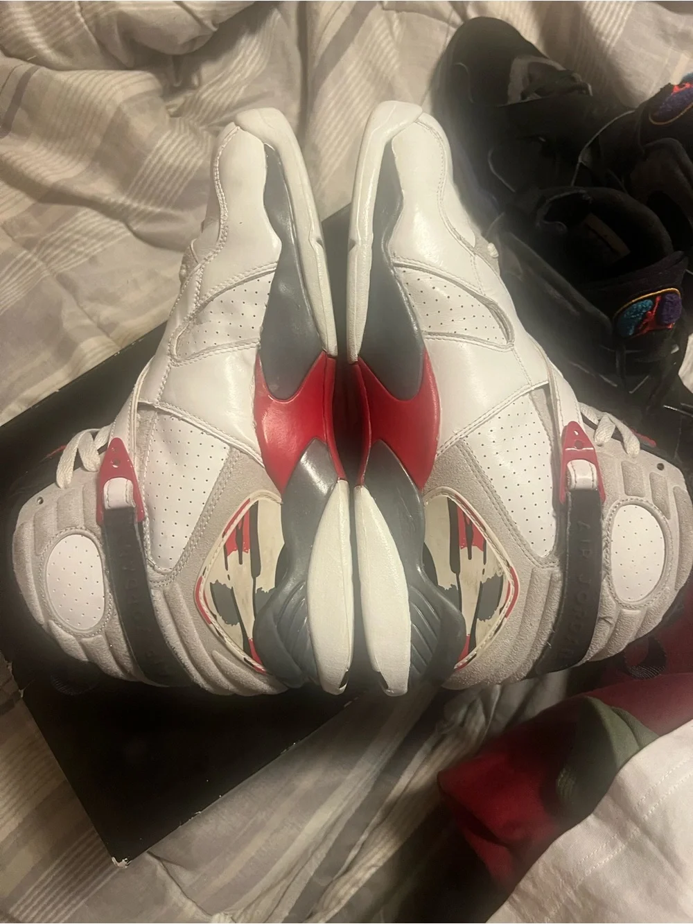 Jordan air bug